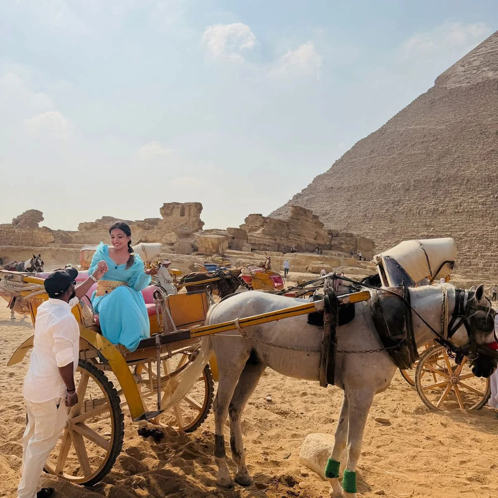 Happy-Clients-Trpology-11